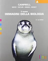 Nuovo immagini della usato  Spedito ovunque in Italia 