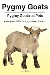 Pygmy goats. pygmy d'occasion  Livré partout en France