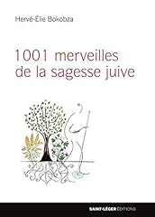 1001 merveilles sagesse usato  Spedito ovunque in Italia 