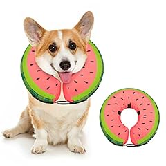 Dog cone collar for sale  Delivered anywhere in USA 