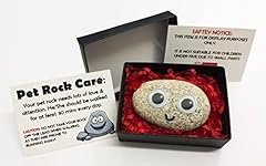 Pet rock novelty for sale  Delivered anywhere in UK