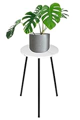 Artora indoor plant for sale  Delivered anywhere in USA 