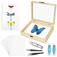 Making insect specimen for sale  Delivered anywhere in UK