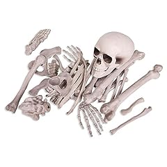 Kangaroo skeleton bones for sale  Delivered anywhere in USA 
