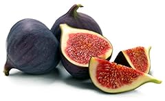 Fig trees black for sale  Delivered anywhere in USA 