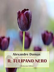 Tulipano nero usato  Spedito ovunque in Italia 