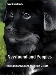 Newfoundland puppies raising for sale  Delivered anywhere in UK