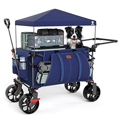 Ever advanced 225l for sale  Delivered anywhere in UK
