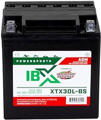 Interstate batteries ytx30l for sale  Delivered anywhere in USA 