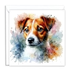 Jack russell dog for sale  Delivered anywhere in UK