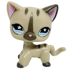 Lps shorthair cat for sale  Delivered anywhere in USA 