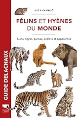 Félins hyènes lions d'occasion  Livré partout en France