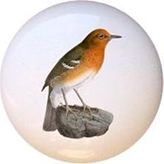 Brown thrasher birds for sale  Delivered anywhere in USA 