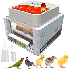Incubators hatching eggs for sale  Delivered anywhere in USA 