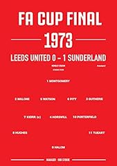 Sunderland 1973 cup d'occasion  Livré partout en France