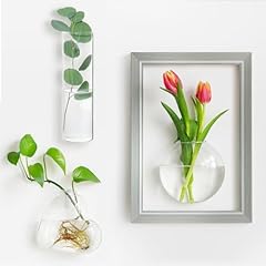 Bouqlife glass wall for sale  Delivered anywhere in USA 