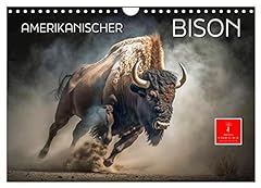 Amerikanischer bison calvendo gebraucht kaufen  Wird an jeden Ort in Deutschland
