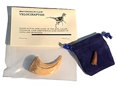 Cast replica velociraptor for sale  Delivered anywhere in UK