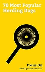 Focus most popular d'occasion  Livré partout en France