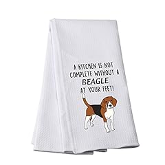 Pwhaoo funny beagle for sale  Delivered anywhere in USA 