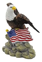 Cosmos american eagle for sale  Delivered anywhere in USA 