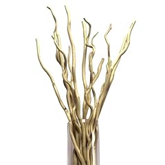 15pcs dried birch for sale  Delivered anywhere in USA 