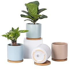Omaykey succulent pots for sale  Delivered anywhere in USA 