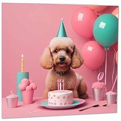Poodle birthday card for sale  Delivered anywhere in UK