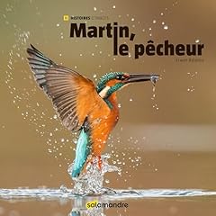 Martin pêcheur d'occasion  Livré partout en France