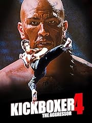 Kickboxer the aggressor gebraucht kaufen  Wird an jeden Ort in Deutschland