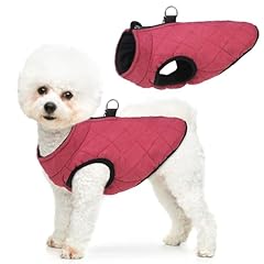 Scenereal winter dog for sale  Delivered anywhere in USA 