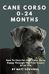 Cane corso months for sale  Delivered anywhere in UK