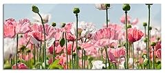 Pixxprint glasbild panorama gebraucht kaufen  Wird an jeden Ort in Deutschland