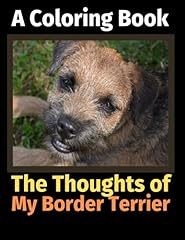 Thoughts border terrier for sale  Delivered anywhere in UK