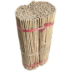 Rkays bamboo canes for sale  Delivered anywhere in UK