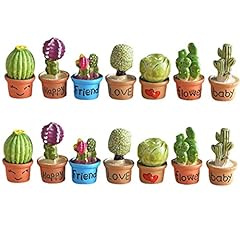 Succulents cactus fairy for sale  Delivered anywhere in USA 