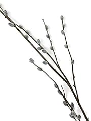 Pussy willow spray for sale  Delivered anywhere in UK