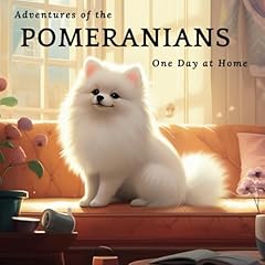 Adventures pomeranians one for sale  Delivered anywhere in USA 