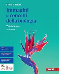 Immagini concetti della usato  Spedito ovunque in Italia 
