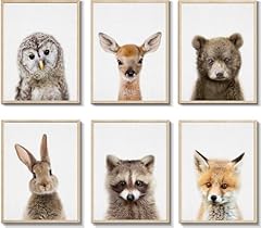 Ephany baby animal for sale  Delivered anywhere in USA 