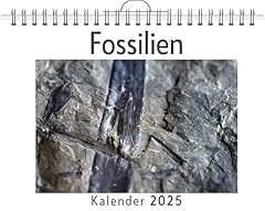 Fossilien gebraucht kaufen  Wird an jeden Ort in Deutschland