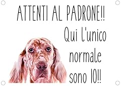 New cartello segnaletico usato  Spedito ovunque in Italia 