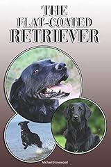 Flat coated retriever for sale  Delivered anywhere in UK