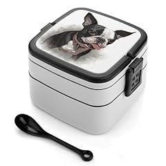 Vfklt boston terrier for sale  Delivered anywhere in UK