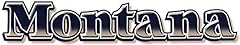 Montana trailer keystone for sale  Delivered anywhere in USA 