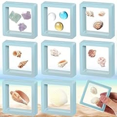 Juexica pcs seashell for sale  Delivered anywhere in USA 