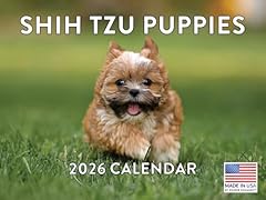 Shih tzu puppy for sale  Delivered anywhere in USA 