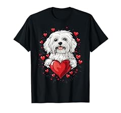 Chien coton tulear d'occasion  Livré partout en France