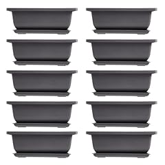 Papiivan packs bonsai for sale  Delivered anywhere in UK