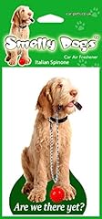 Italian spinone dog for sale  Delivered anywhere in Ireland